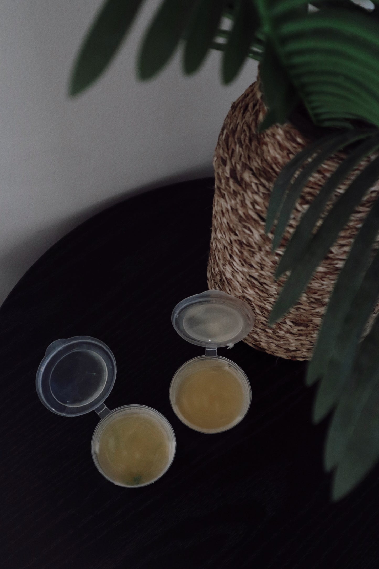 Sandalwood, Patchouli + Vanilla Jelly Wax Melt