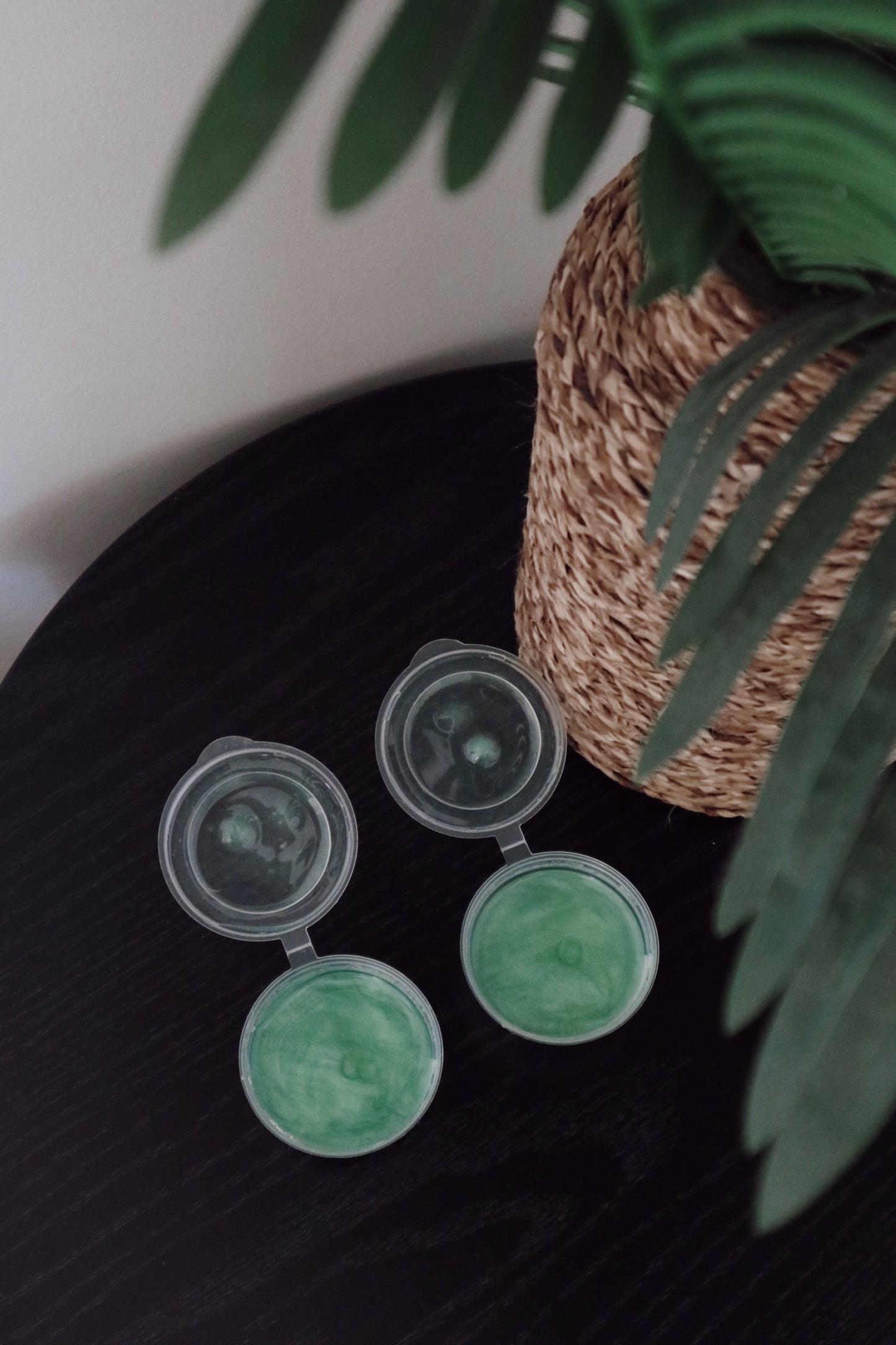 Coconut Lime Jelly Wax Melt