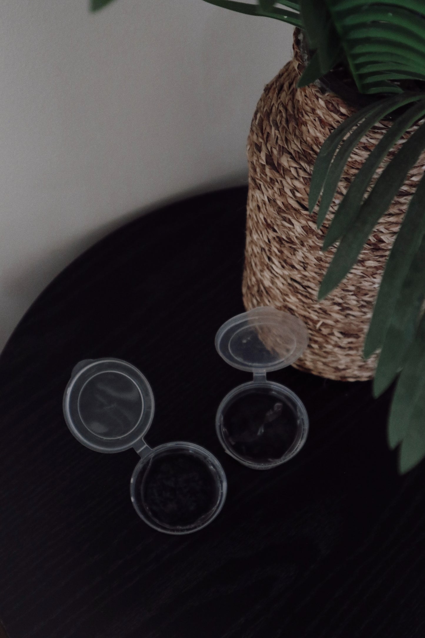 Amalfi Coast Jelly Wax Melt