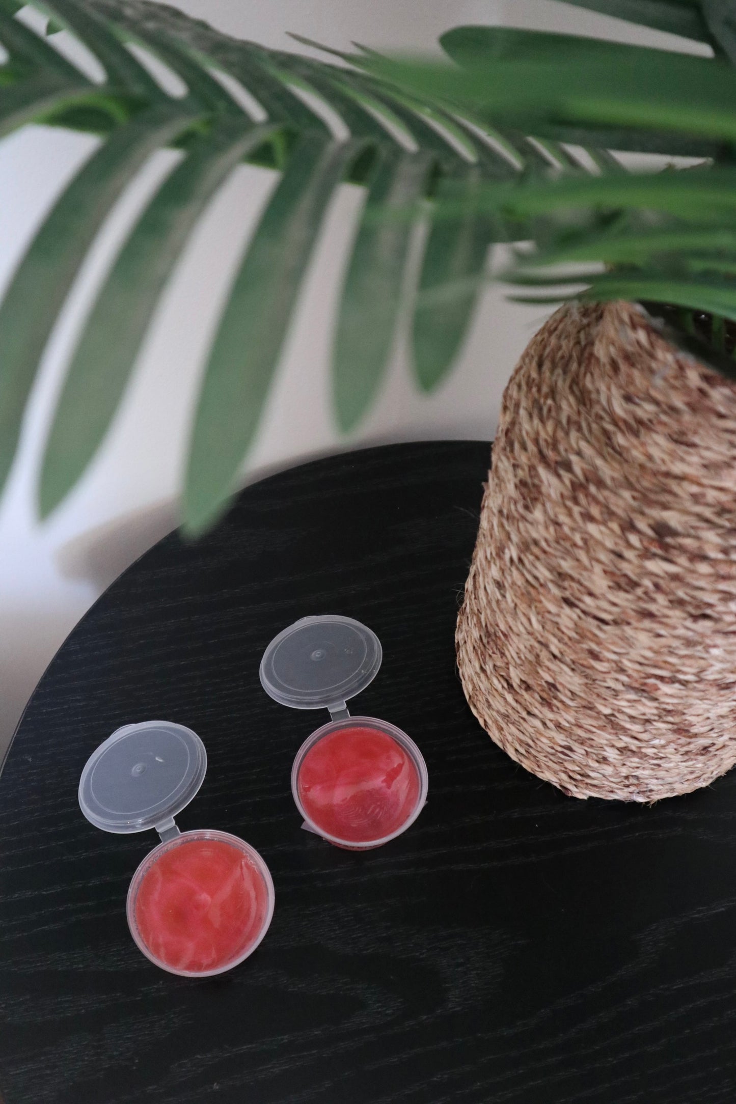 Watermelon Jelly Wax Melt